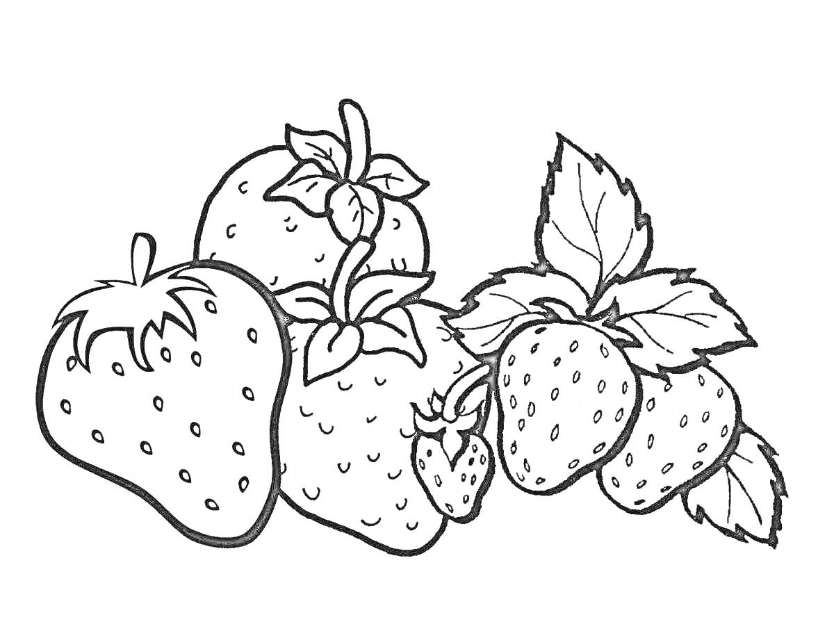 клубника с листьями и ягодами