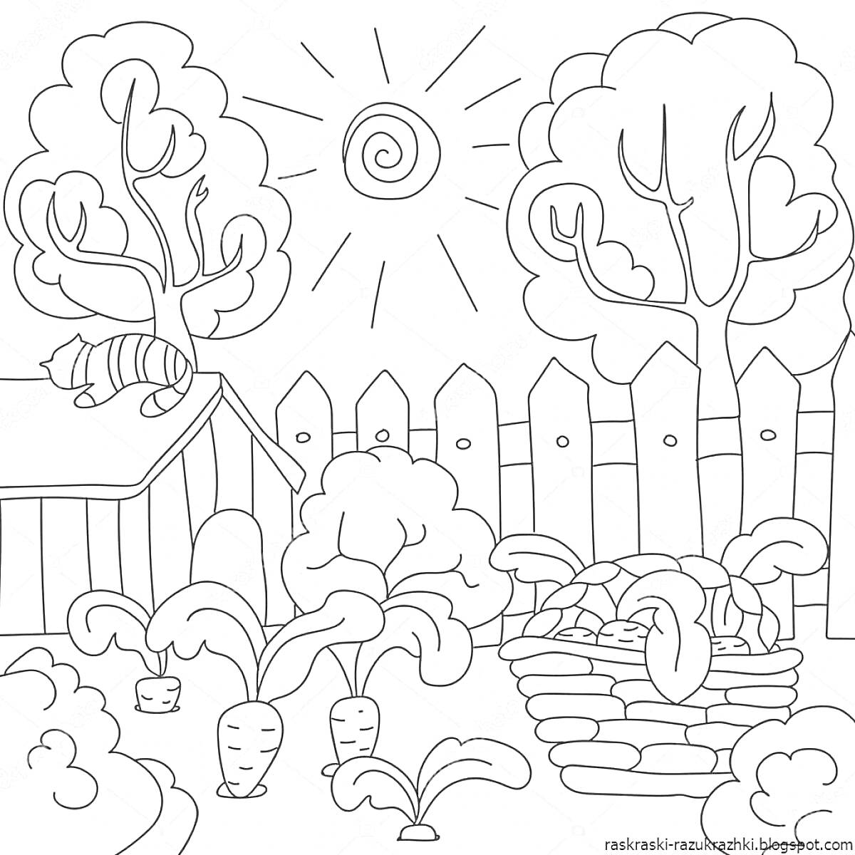 На раскраске изображено: Сад, Солнечный день, Деревья, Забор, Корзина, Морковь, Капуста, Кусты, Солнце