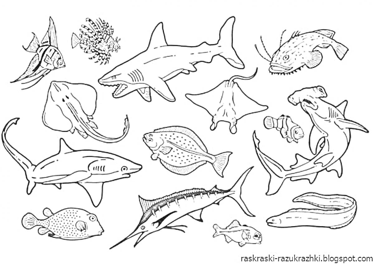 На раскраске изображено: Акулы, Море, Животные, Природа, Подводный мир
