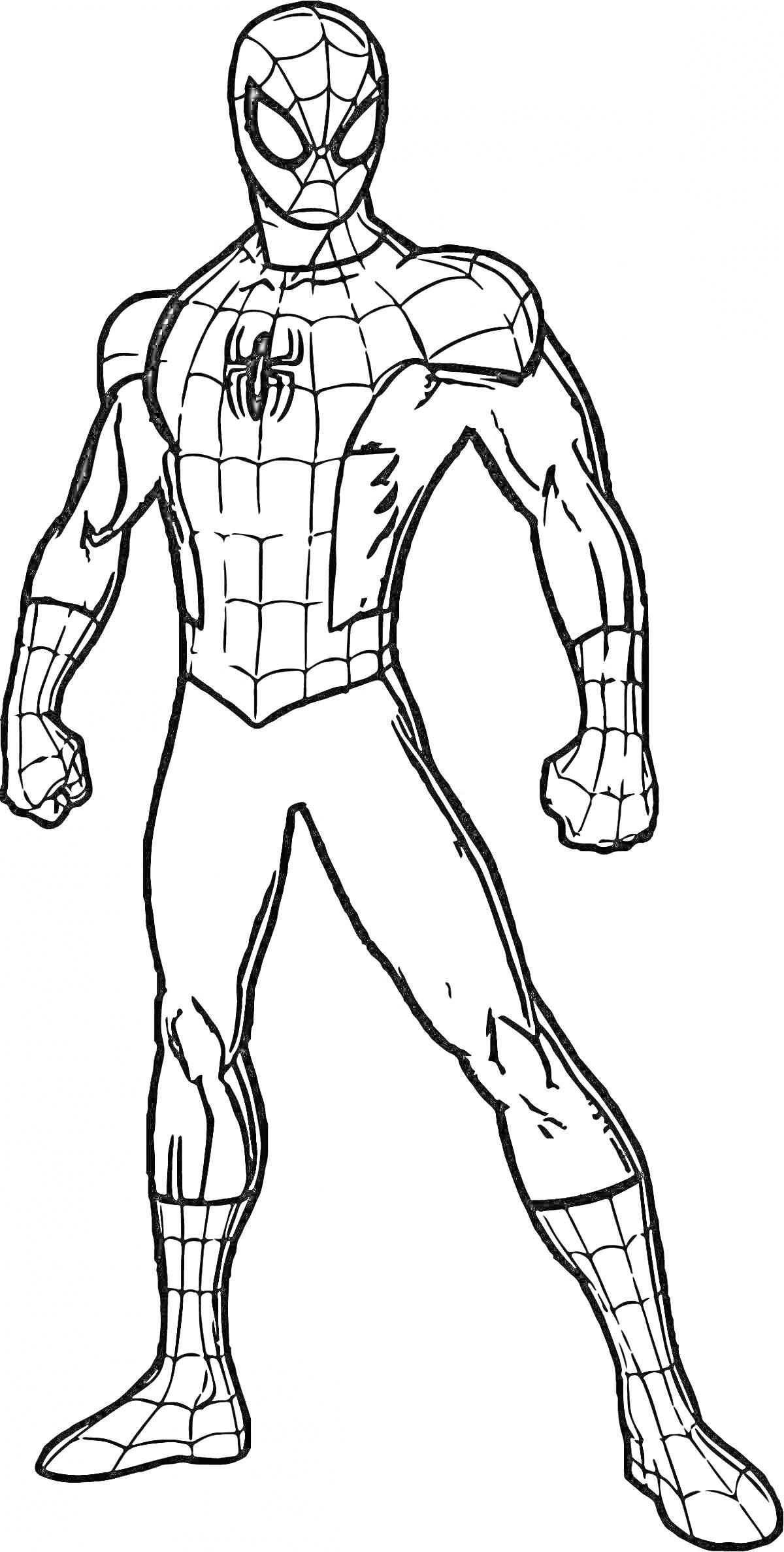 Раскраска Человек-паук в полный рост в боевой стойке, линия рисунка
