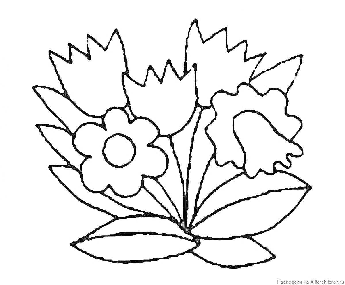 Раскраска Букет из тюльпанов, ромашек и гвоздик с листьями