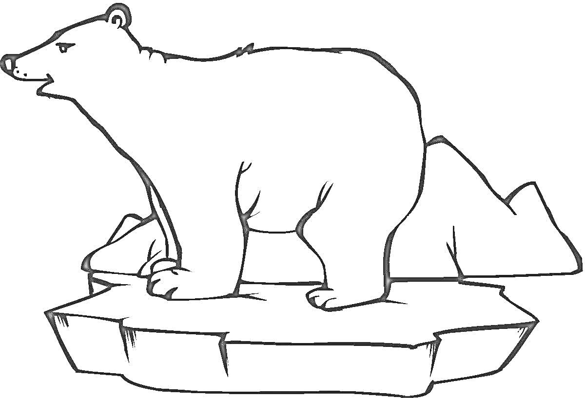 На раскраске изображено: Белый медведь, Льдина, Горы, Природа, Зима, Полярный медведь, Арктика, Снег, Лед, Животные