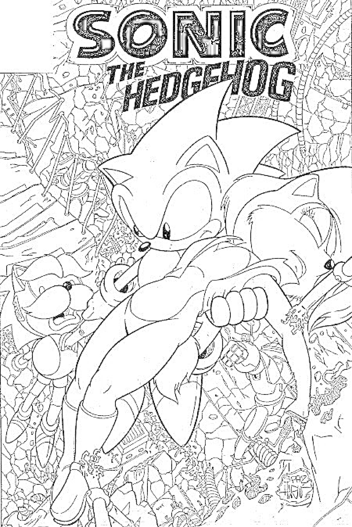 Раскраска Sonic the Hedgehog с двумя персонажами на развалинах
