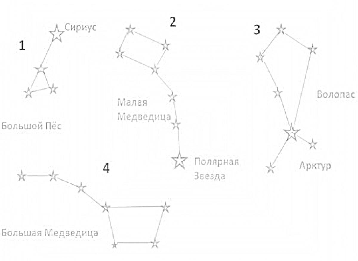 Раскраска Большой Пёс, Сириус, Малая Медведица, Полярная звезда, Волопас, Арктур, Большая Медведица