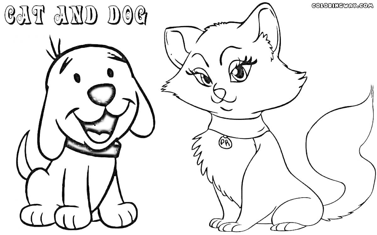 Раскраска Собака и кошка на белом фоне