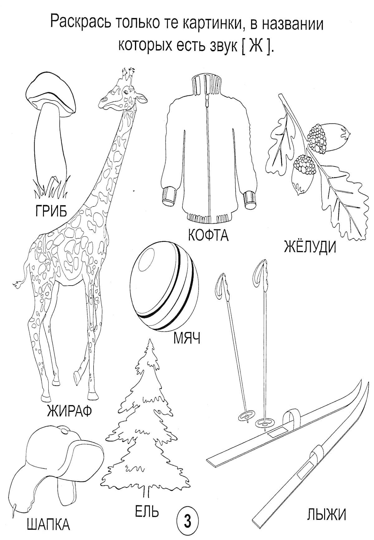 На раскраске изображено: Кофта, Желуди, Лыжи, Шапка