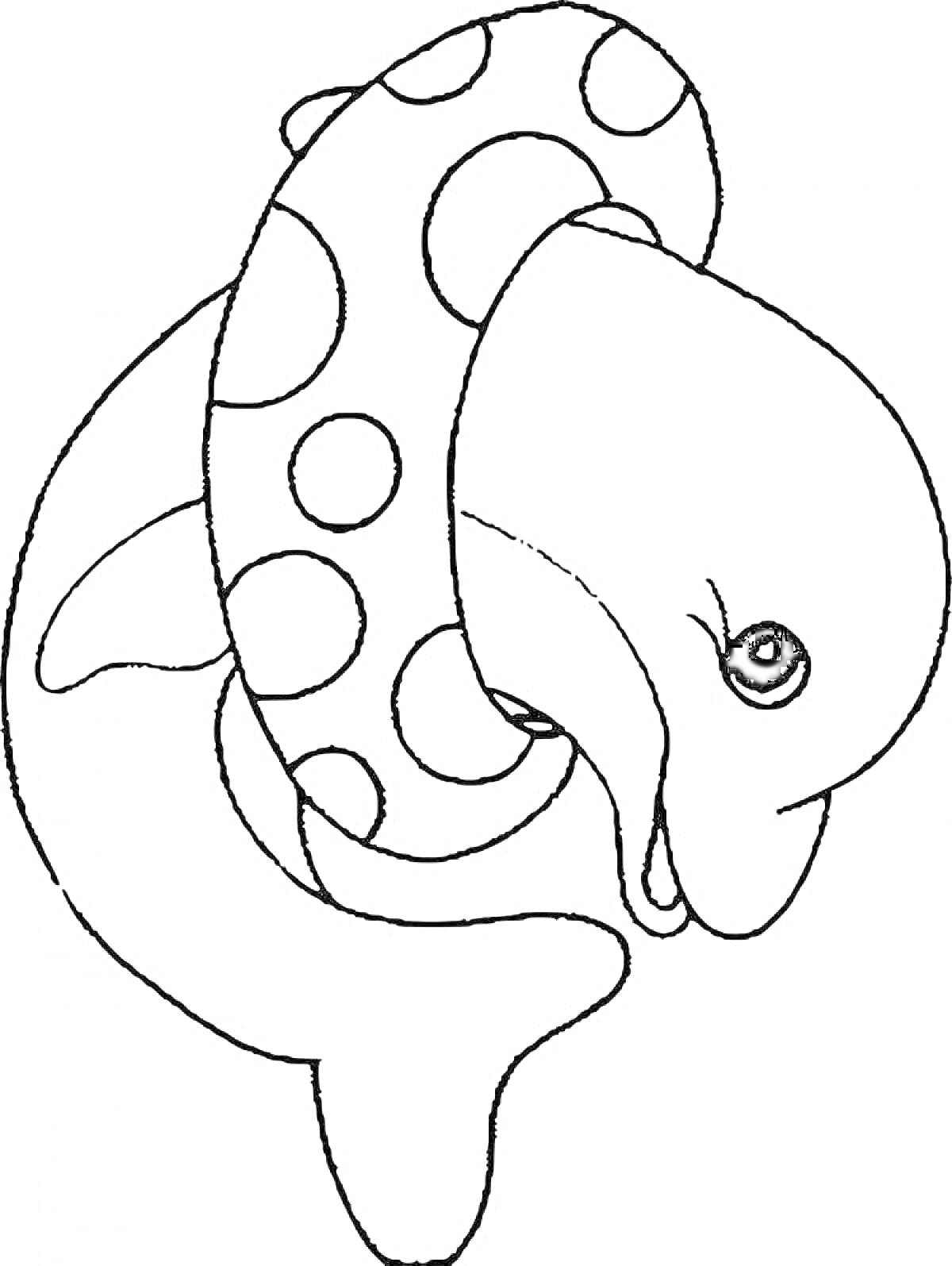 Раскраска Дельфин с кругом для плавания