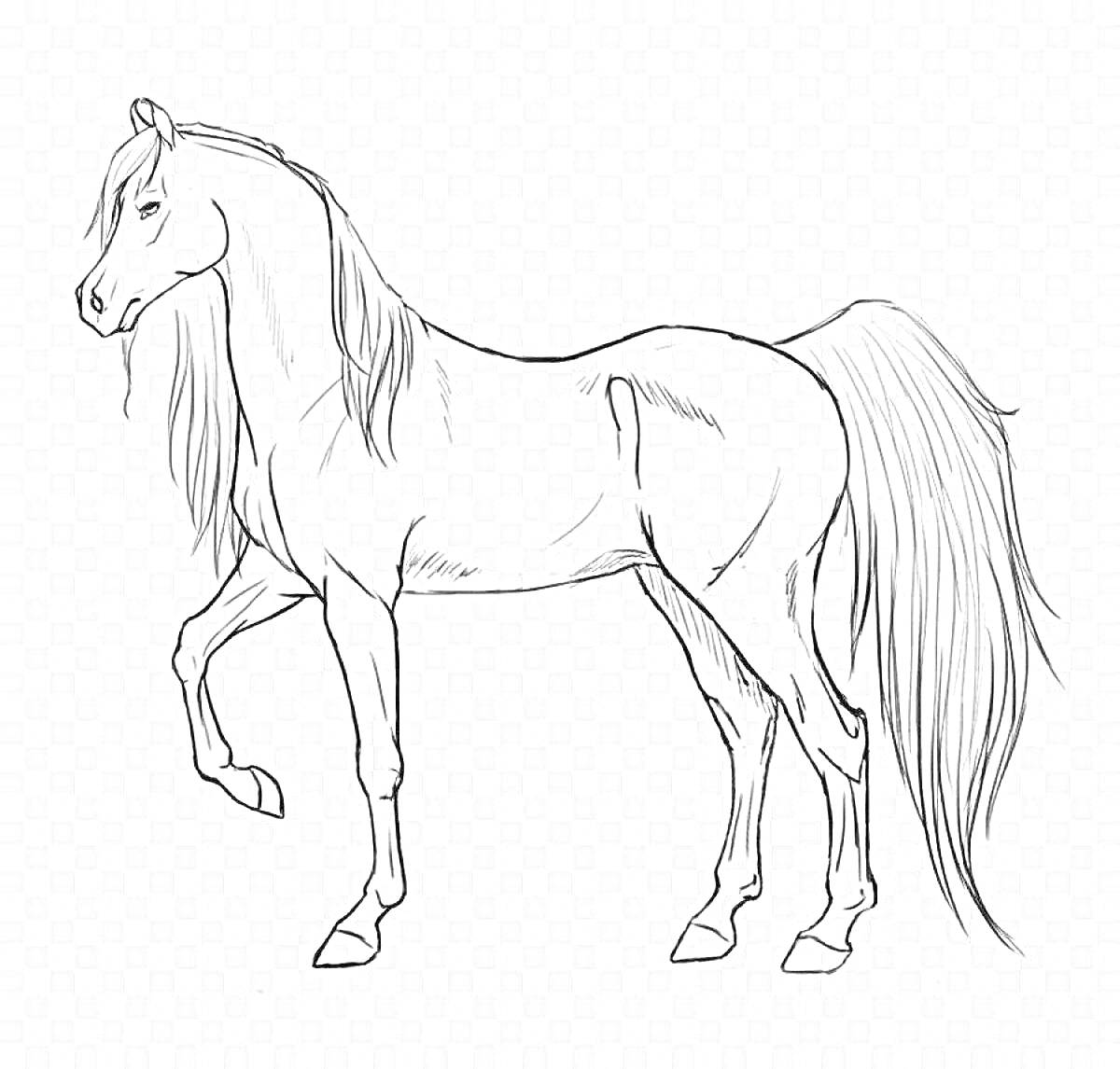 На раскраске изображено: Лошадь, Грива, Хвост, Подъём, Прозрачный фон
