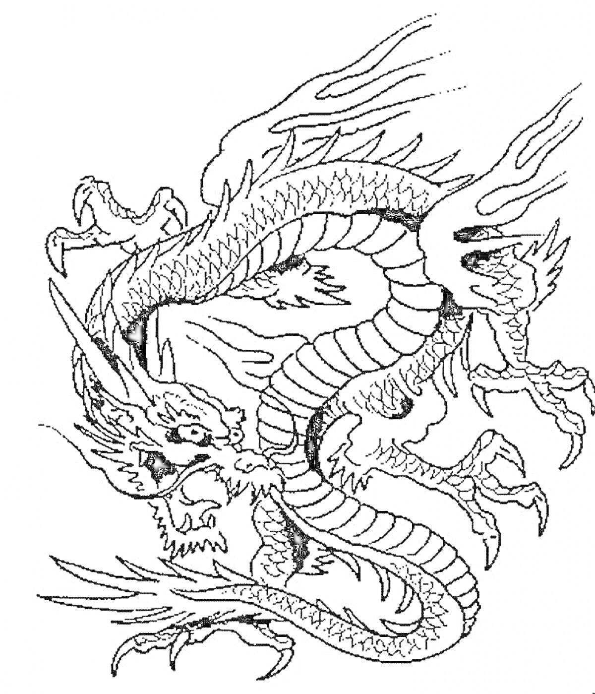 Раскраска китайский дракон, детализированное изображение с пылающими элементами на хвосте и голове, извивающееся тело, когти
