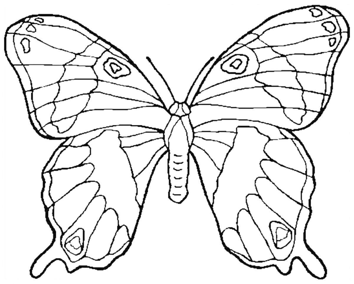 На раскраске изображено: Бабочка, Крылья, Для детей, 6 лет, 7 лет, Узоры