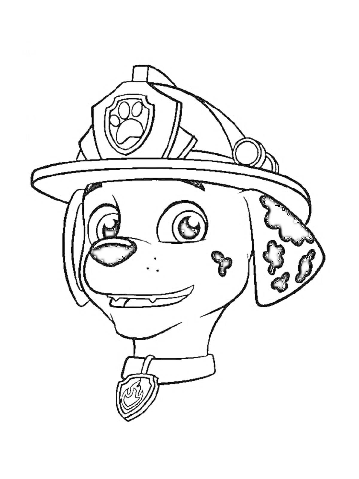 Раскраска Голова мультяшного далматинца в пожарной каске с эмблемой лапы и ошейником с медальоном