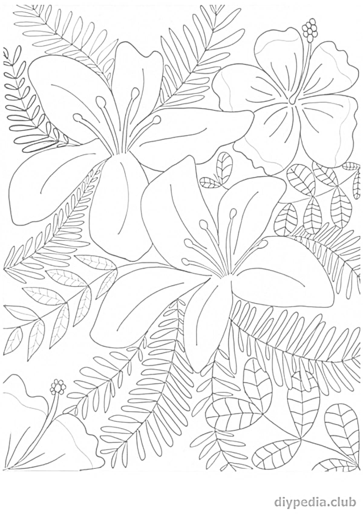 Раскраска Цветочный узор с лилиями и листьями