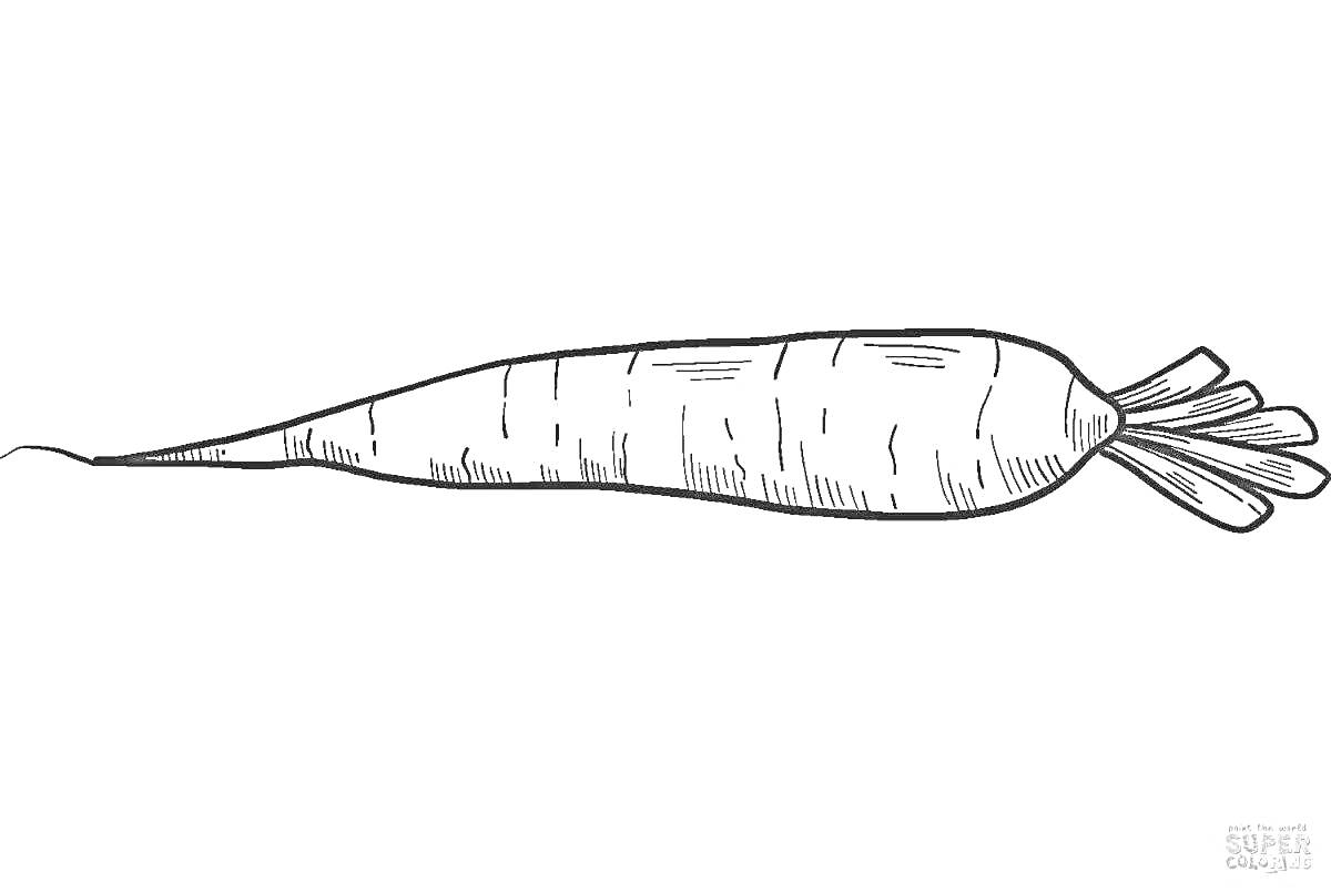 На раскраске изображено: Морковь, Для детей, Иллюстрация, Еда