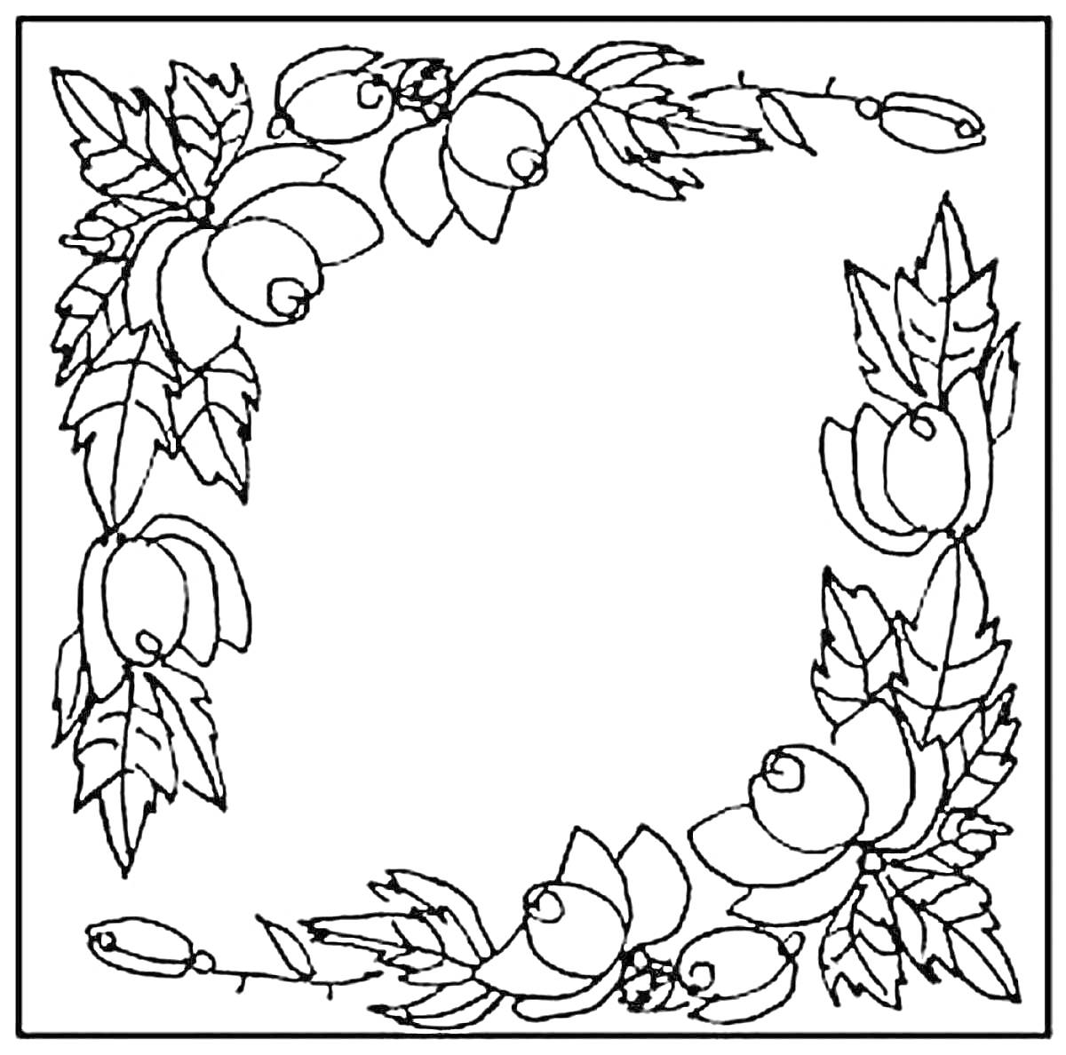 Раскраска Платок с цветочным узором по краям