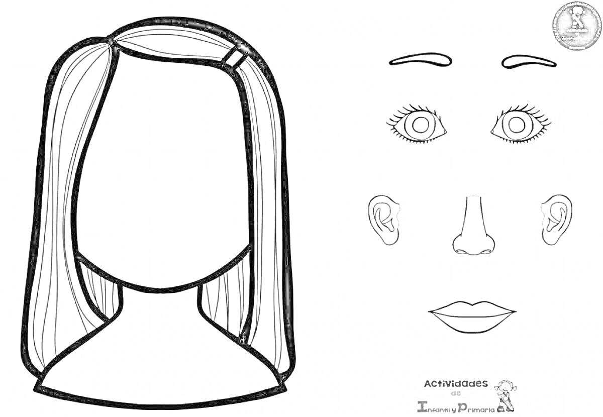 На раскраске изображено: Лицо, Волосы, Глаза, Брови, Нос, Рот, Уши