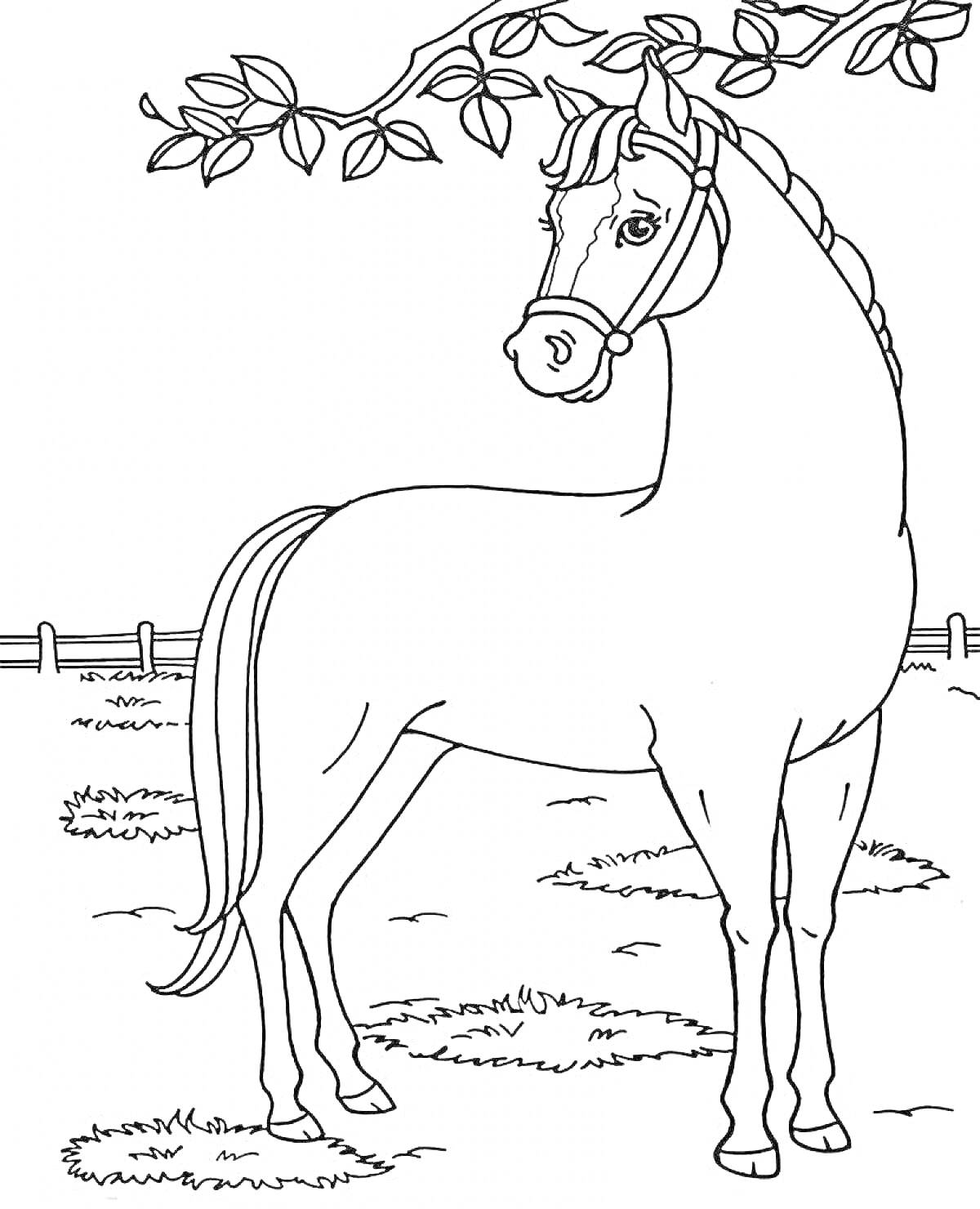 Раскраска Лошадь на пастбище под деревом с ограждением