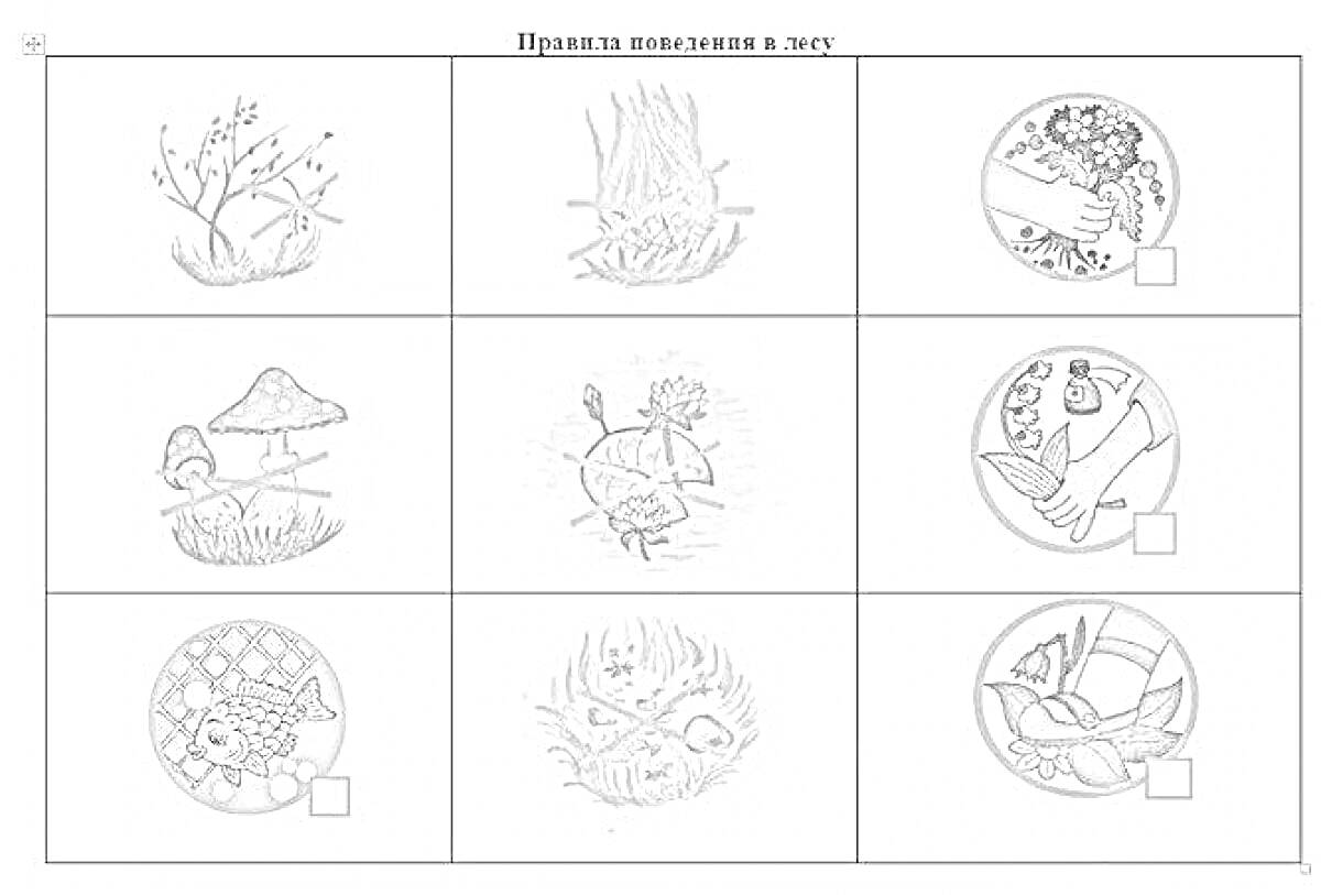 Раскраска правила поведения в лесу - сухие ветки, костер, собирают ягоды, мухомор и табличка 