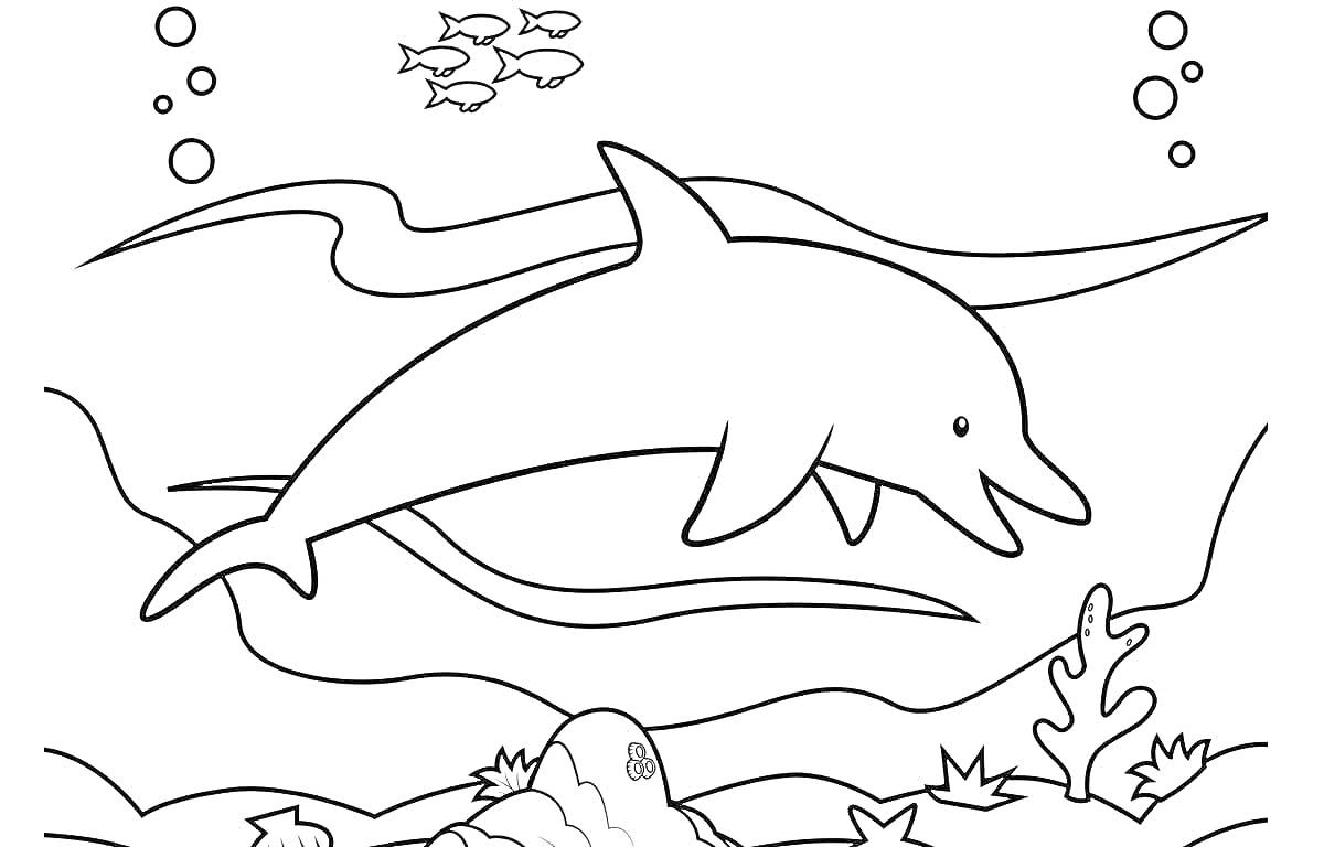 Раскраска Дельфин в подводном мире с рыбками и водорослями