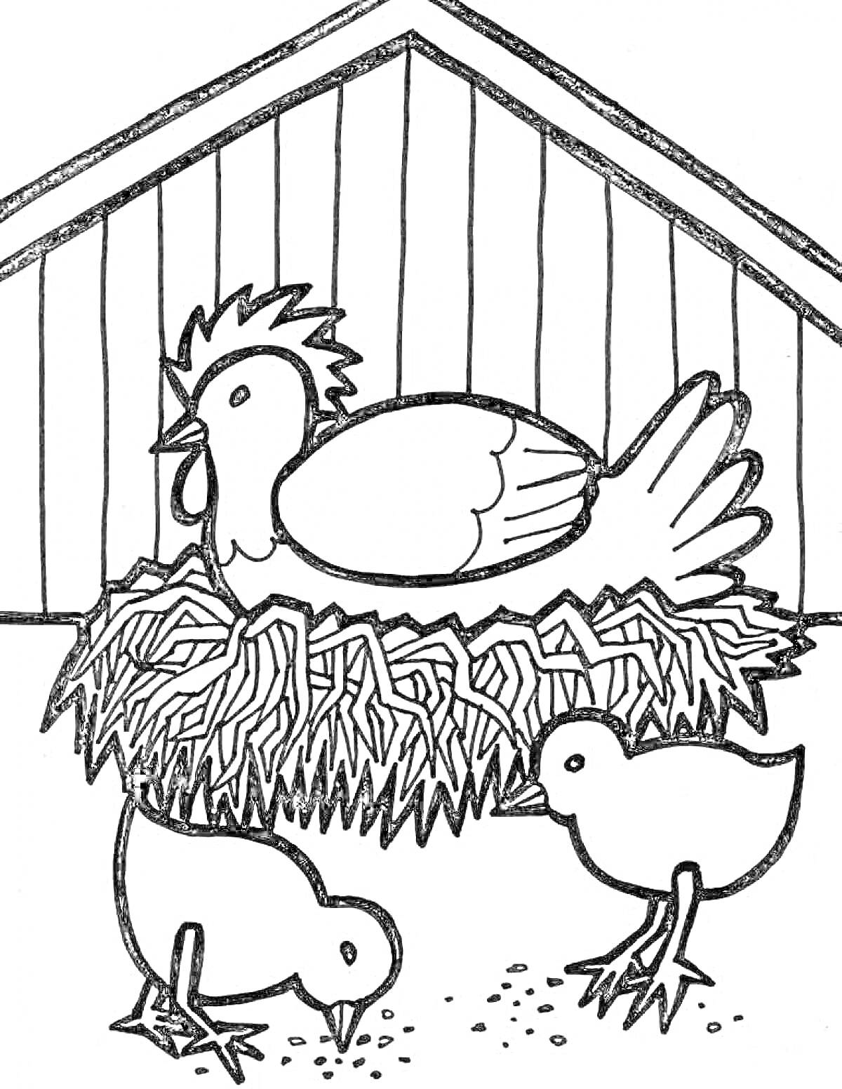 Раскраска Курочка в гнезде и два цыпленка возле курятника