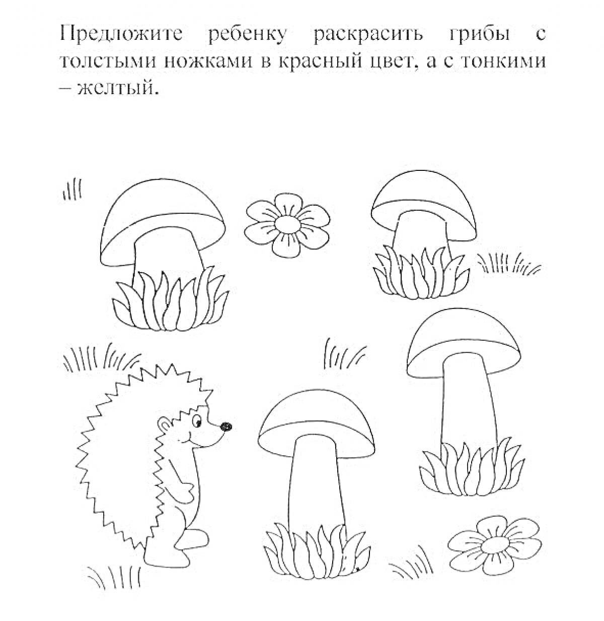 Раскраска Ёжик и грибы с цветами