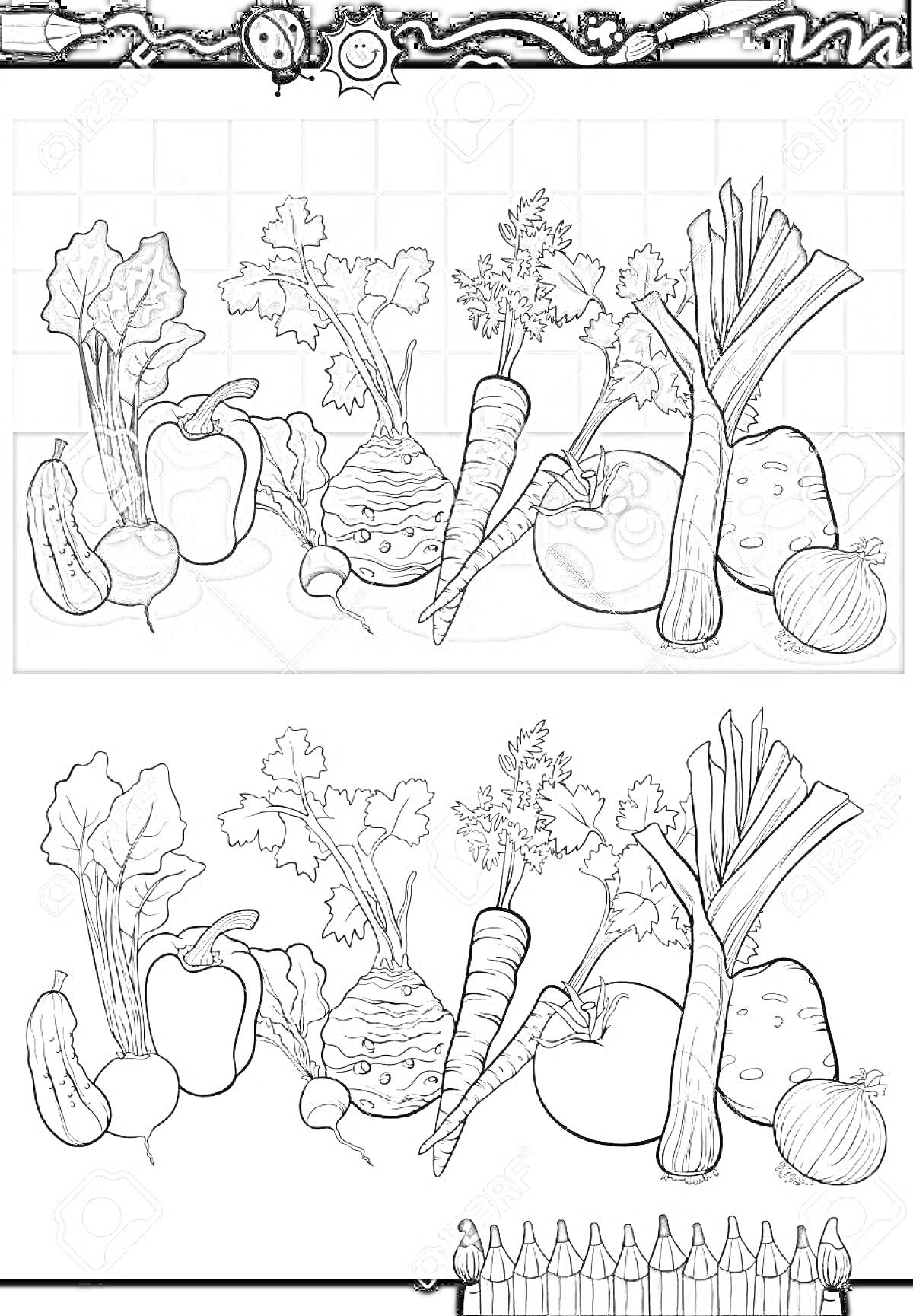 Раскраска Огород с овощами. Включает перец, редис, кольраби, морковь, помидор, сельдерей, лук, репу