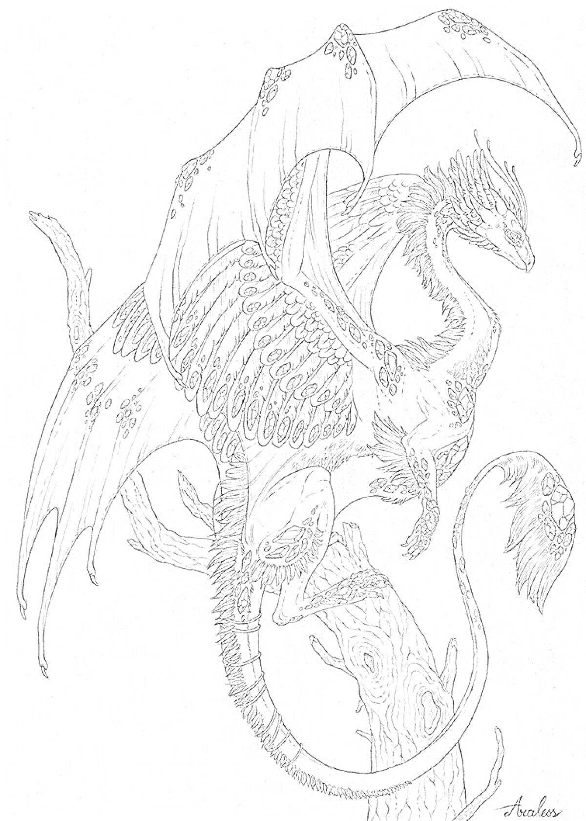 Раскраска Дракон с крыльями и длинным хвостом, сидящий на дереве