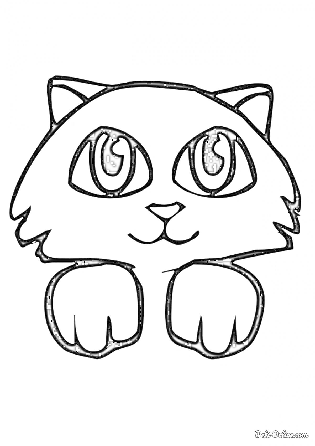 Раскраска Кот с большими глазами и лапками, смотрящий вперёд
