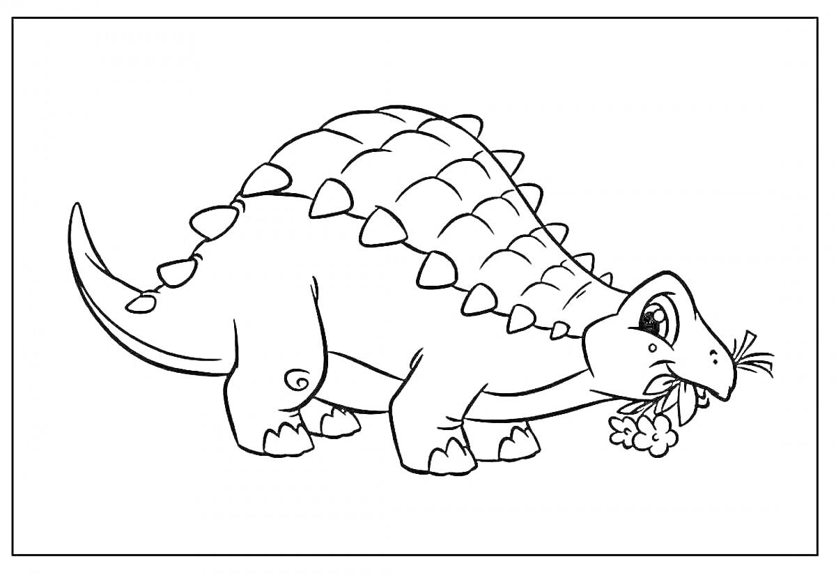 На раскраске изображено: Анкилозавр, Динозавр, Пластины, Шипы, Трава, Ест