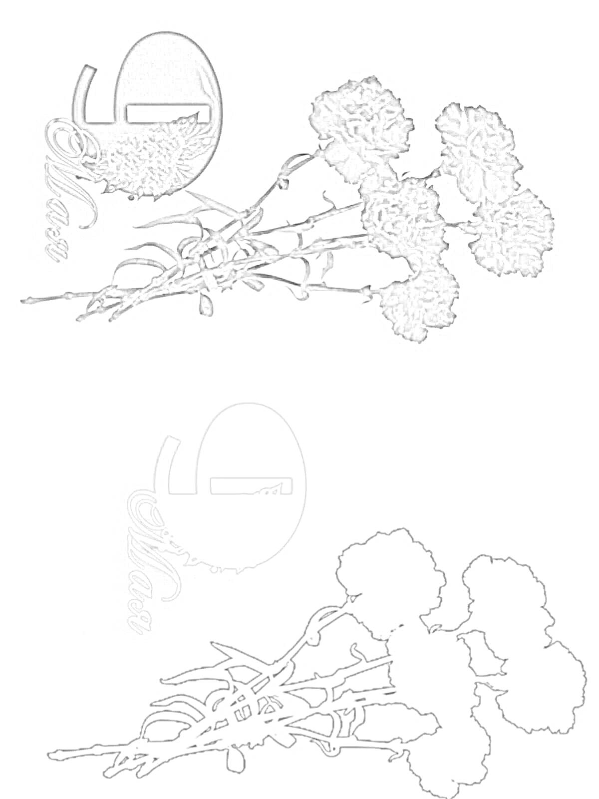 Раскраска гвоздики и вечный огонь, ветка гвоздик, надпись 