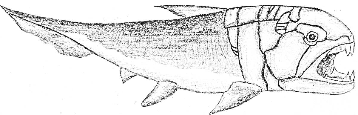 На раскраске изображено: Рыба, Броня, Зубы, Морда, Подводный мир, Доисторические животные, Морские животные, Океаны