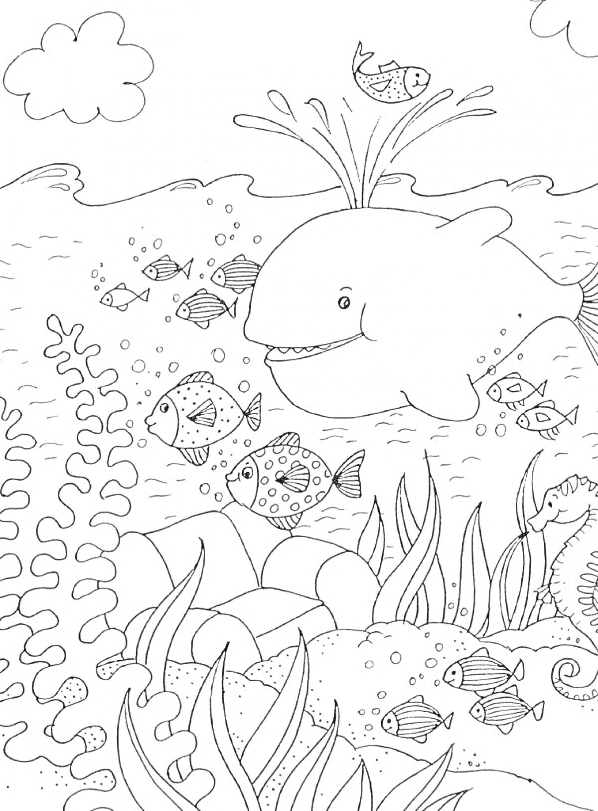 На раскраске изображено: Водный мир, Морские водоросли, Кораллы, Морской конек, Камни, Облака