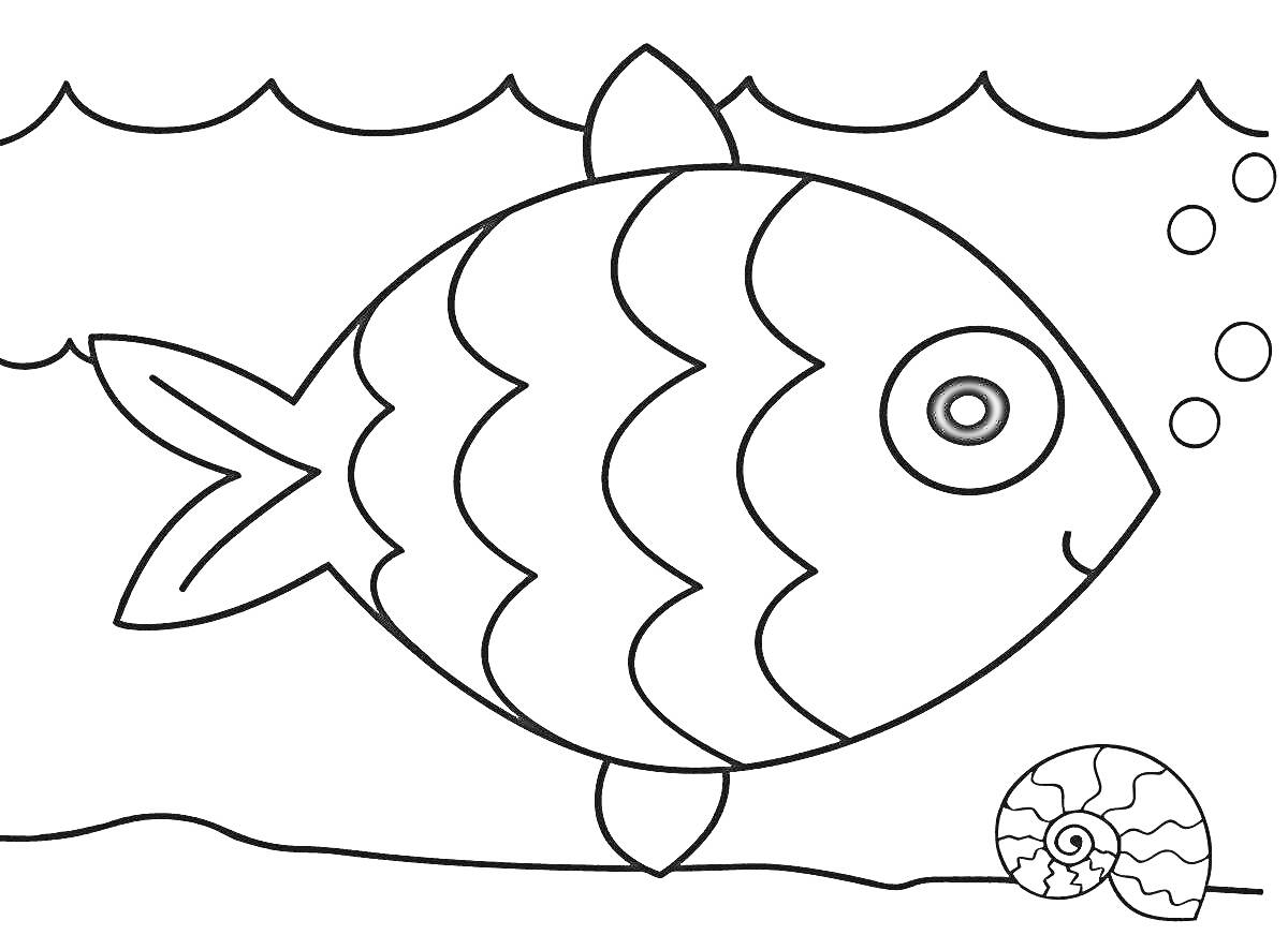 На раскраске изображено: Вода, Ракушка, Пузыри, Морское дно, Рыба