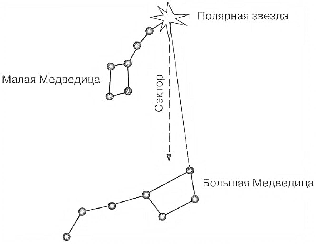 На раскраске изображено: Малая Медведица, Полярная звезда, Большая Медведица, Звезды, Созвездия, Астрономия