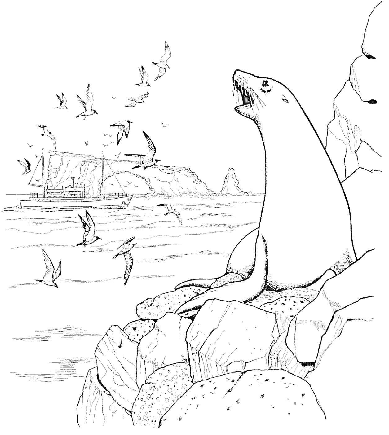 На раскраске изображено: Антарктида, Морской лев, Скалы, Корабль, Природа, Дикая природа, Птица