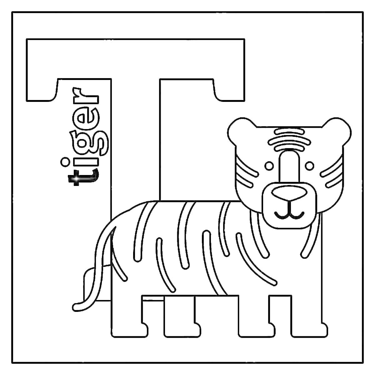 На раскраске изображено: Буква Т, Тигр, Обучение, Дошкольники, Алфавит, Животные