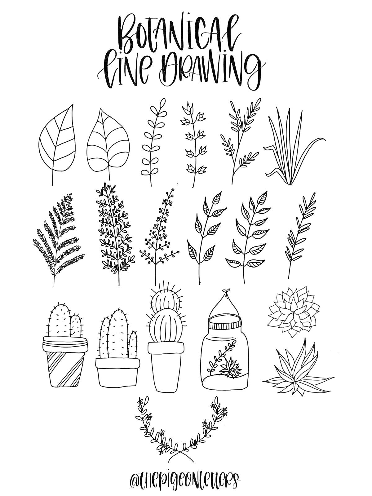 Раскраска Ботанический рисунок линиями: листья, растения, кактусы, суккуленты в горшках и бутылочке