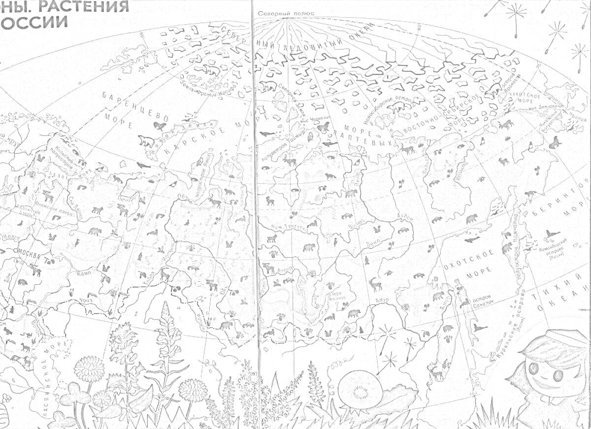 На раскраске изображено: Природные зоны, Россия, Карта, Растения, Образование, Для детей, Животные