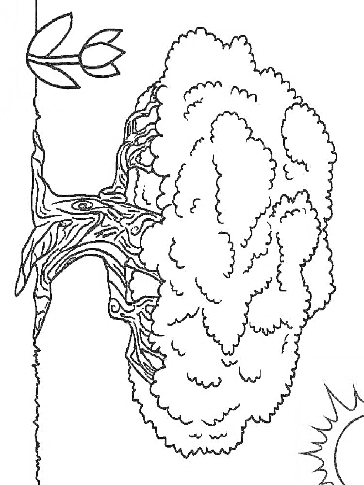 Раскраска Баобаб с цветком и солнцем