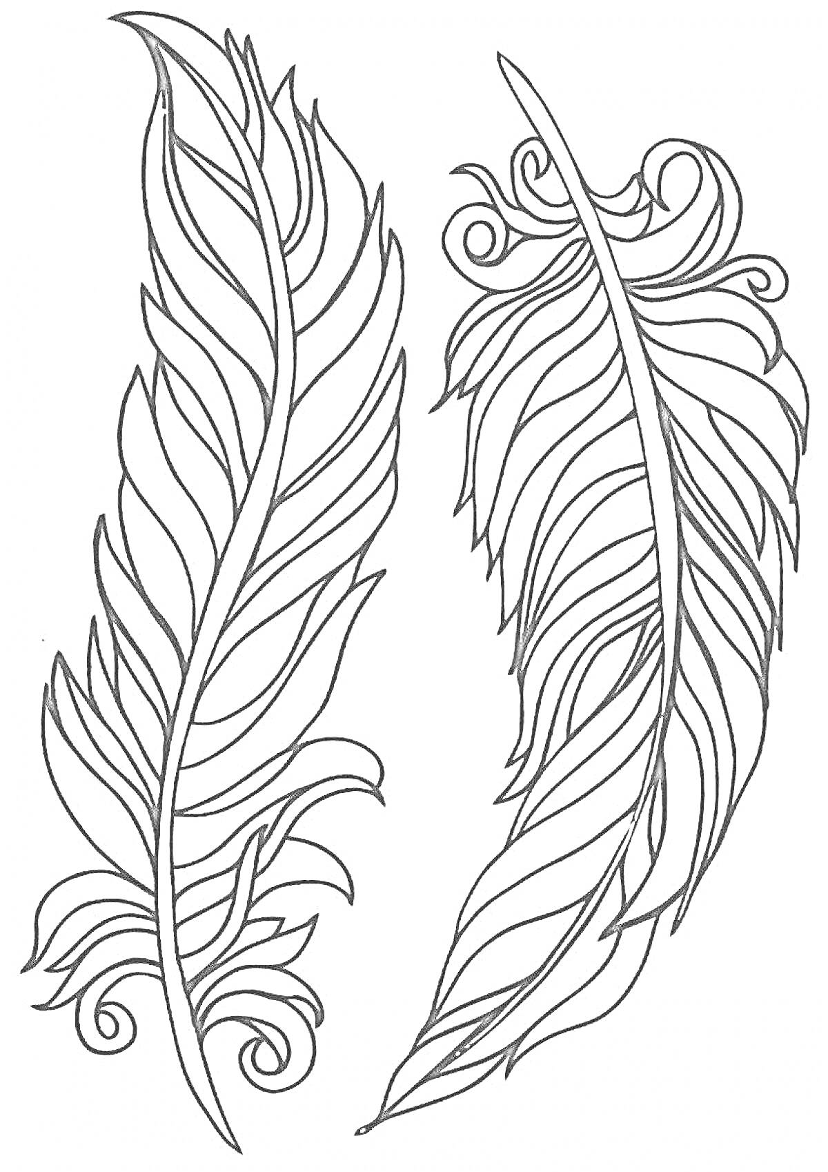 На раскраске изображено: Завитки, Антистресс