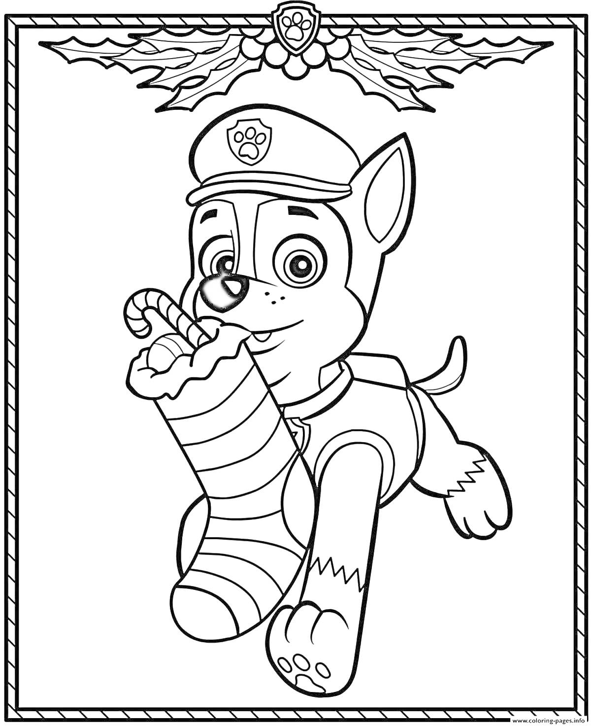 Раскраска Щенок-гонщик из щенячьего патруля с новогодним чулком и конфетой, ветки с листочками и ягодами на углах рамки