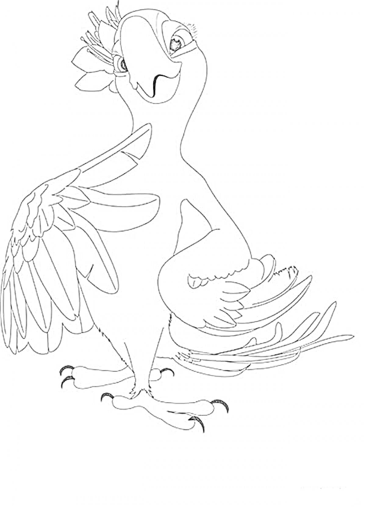 На раскраске изображено: Рио 2, Птица, Цветок на голове, Крылья, Хвост, Перья