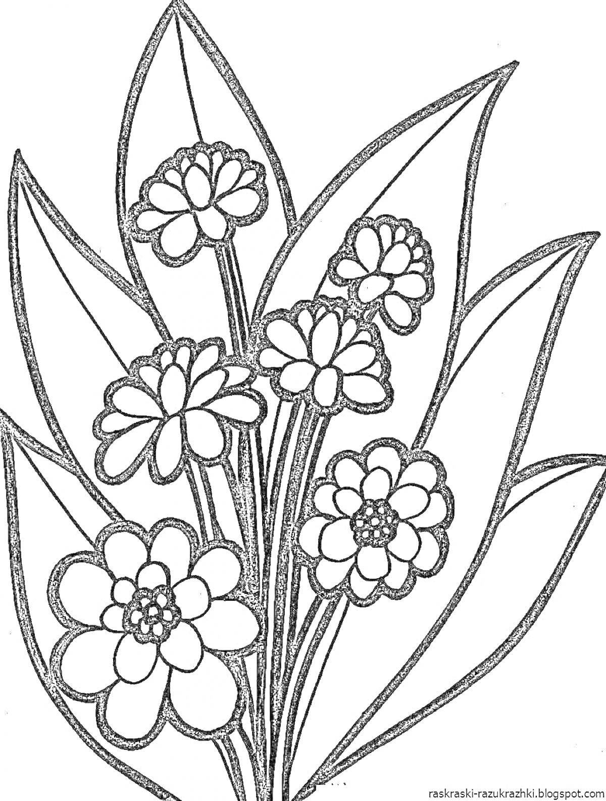 Раскраска Цветочный букет с пятью цветками и листьями