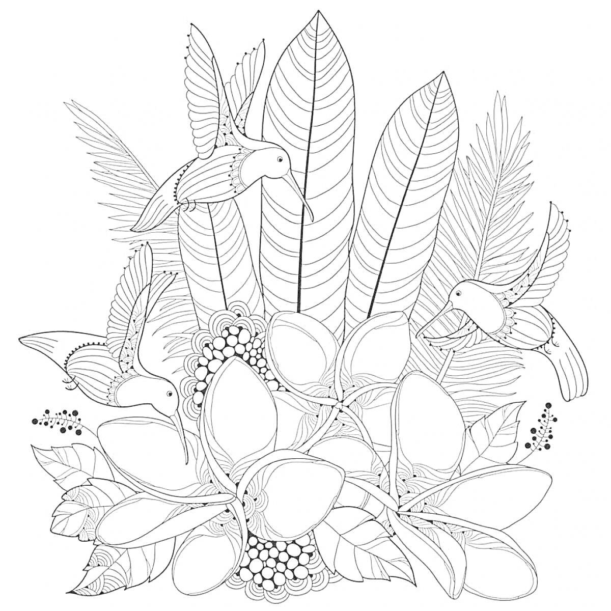 На раскраске изображено: Тропики, Колибри, Цветы, Листья, Ягоды, Природа