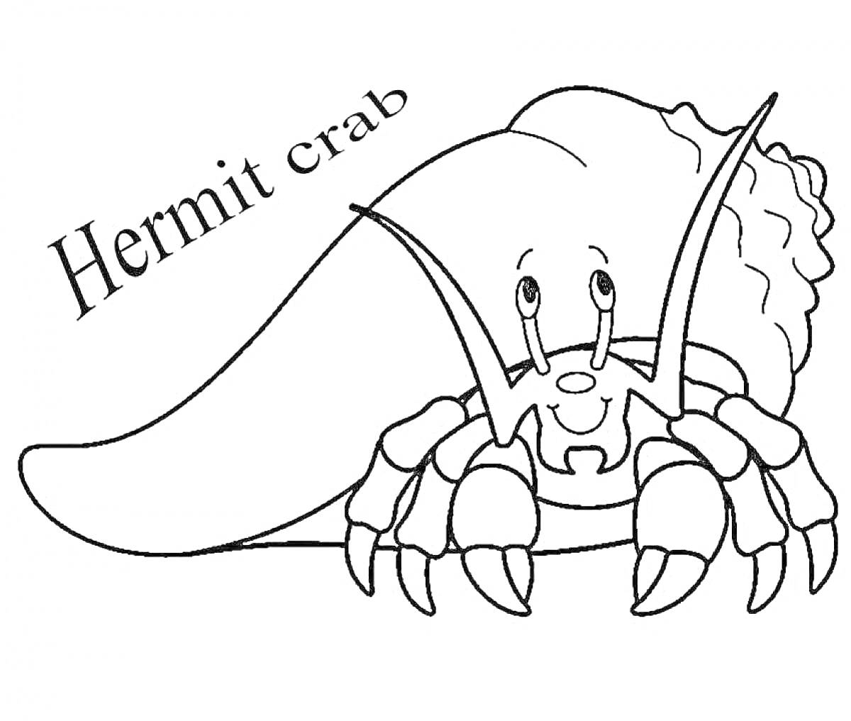 Раскраска рак отшельник с надписью Hermit crab и раковиной