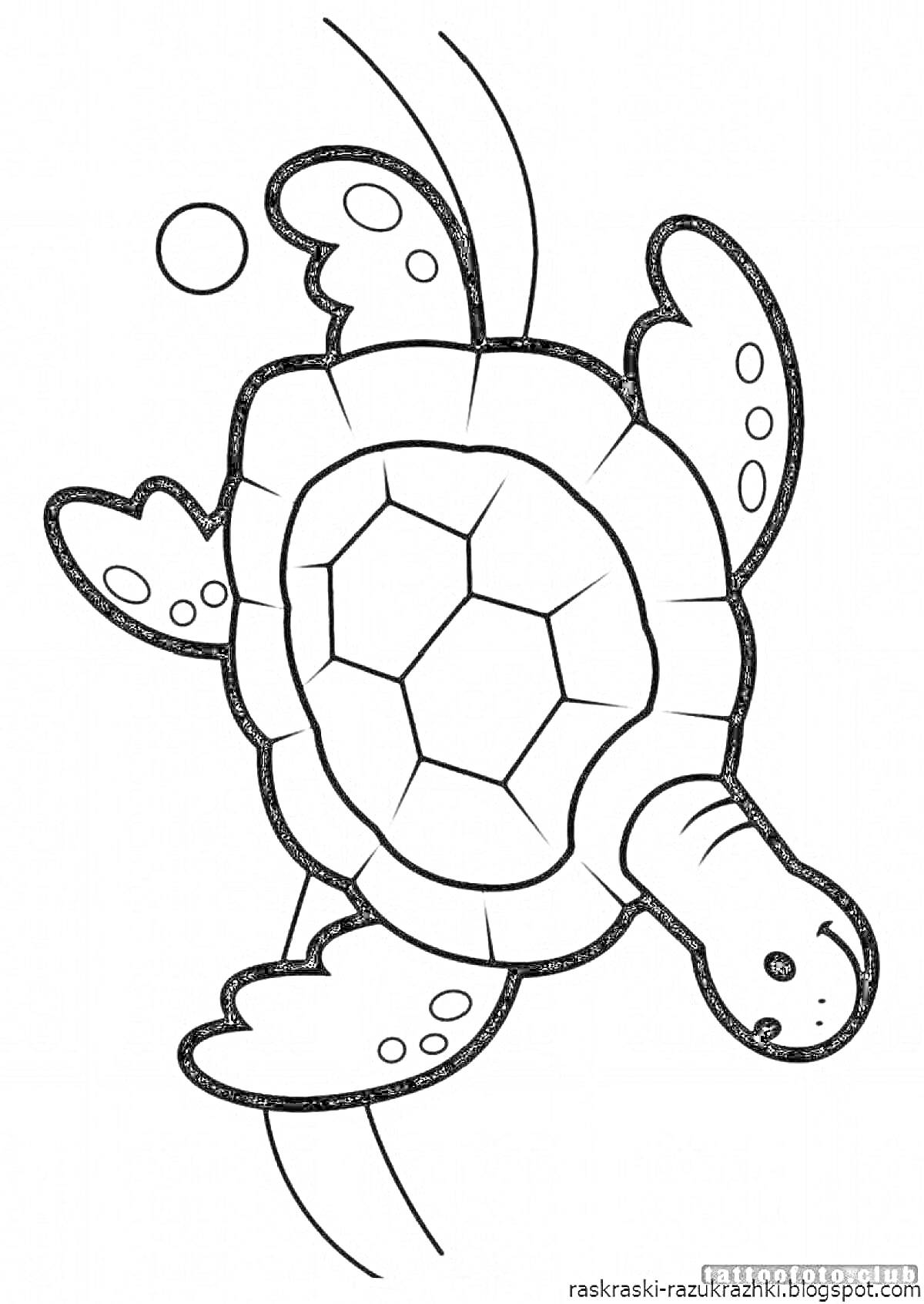 На раскраске изображено: Черепаха, Вода, Плавание, Морская жизнь, Оформление, Для детей, Животные, Пузыри