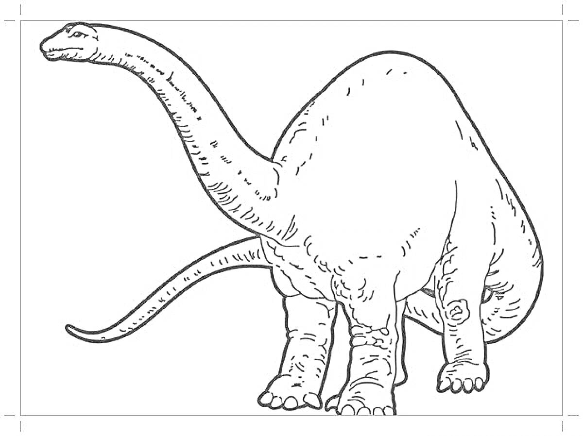 Раскраска Аргентинозавр стоящий на четырех лапах