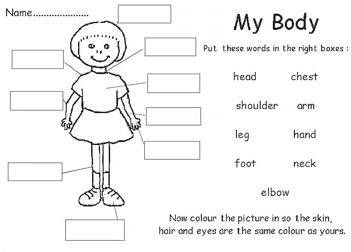 Раскраска для детей с частями тела на английском языке