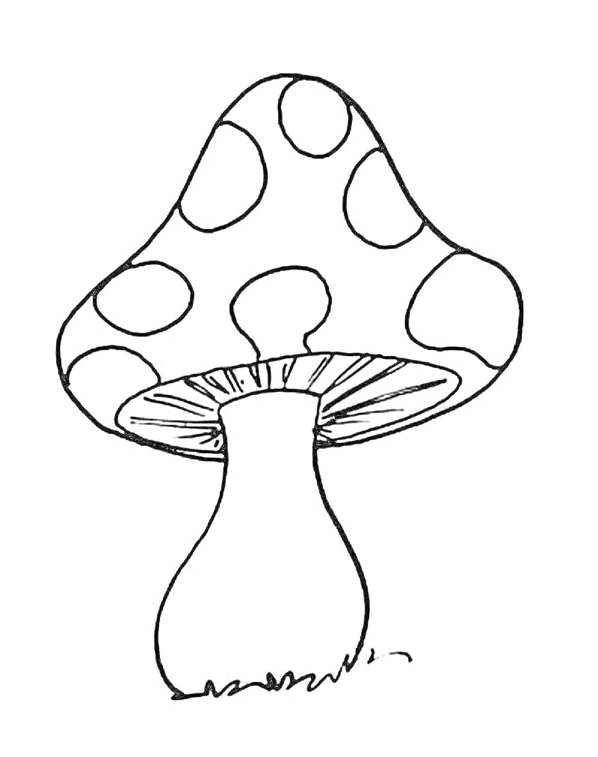 На раскраске изображено: Мухомор, Точки, Шляпка гриба, Ножка гриба, Трава