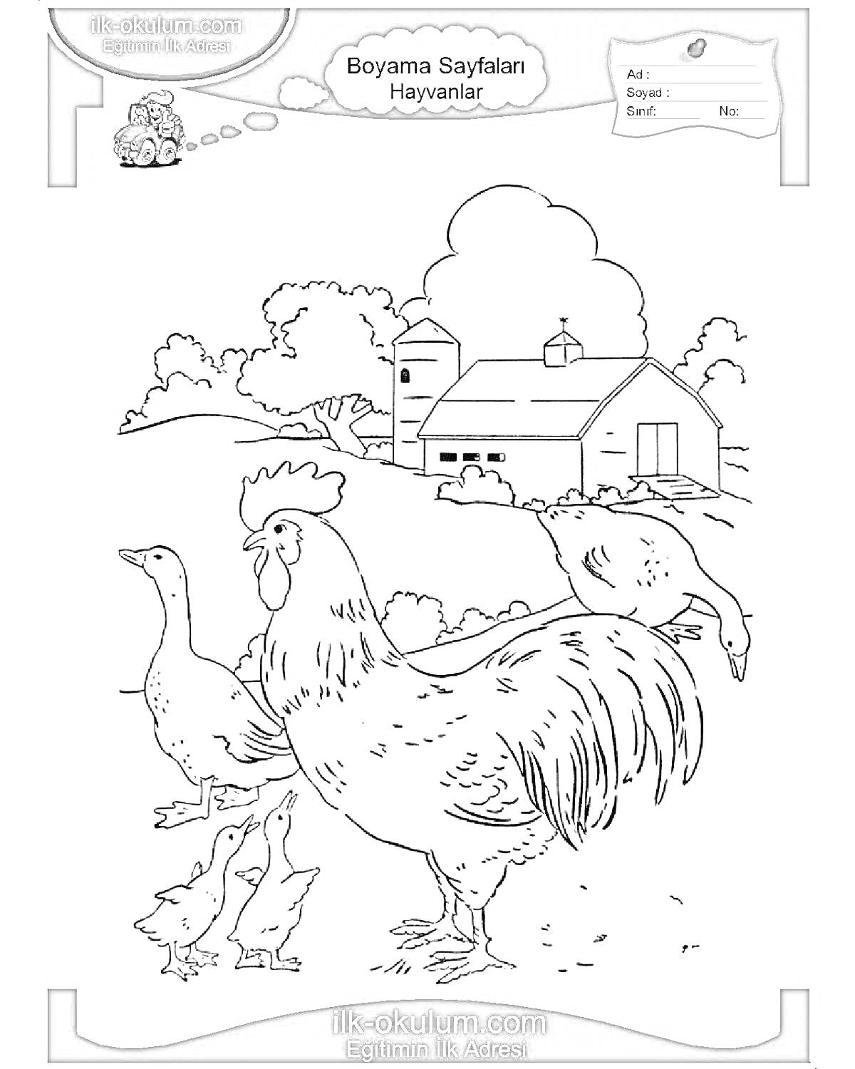 На раскраске изображено: Домашние птицы, Петух, Гуси, Цыплята, Амбар, Ферма, Деревня, Природа