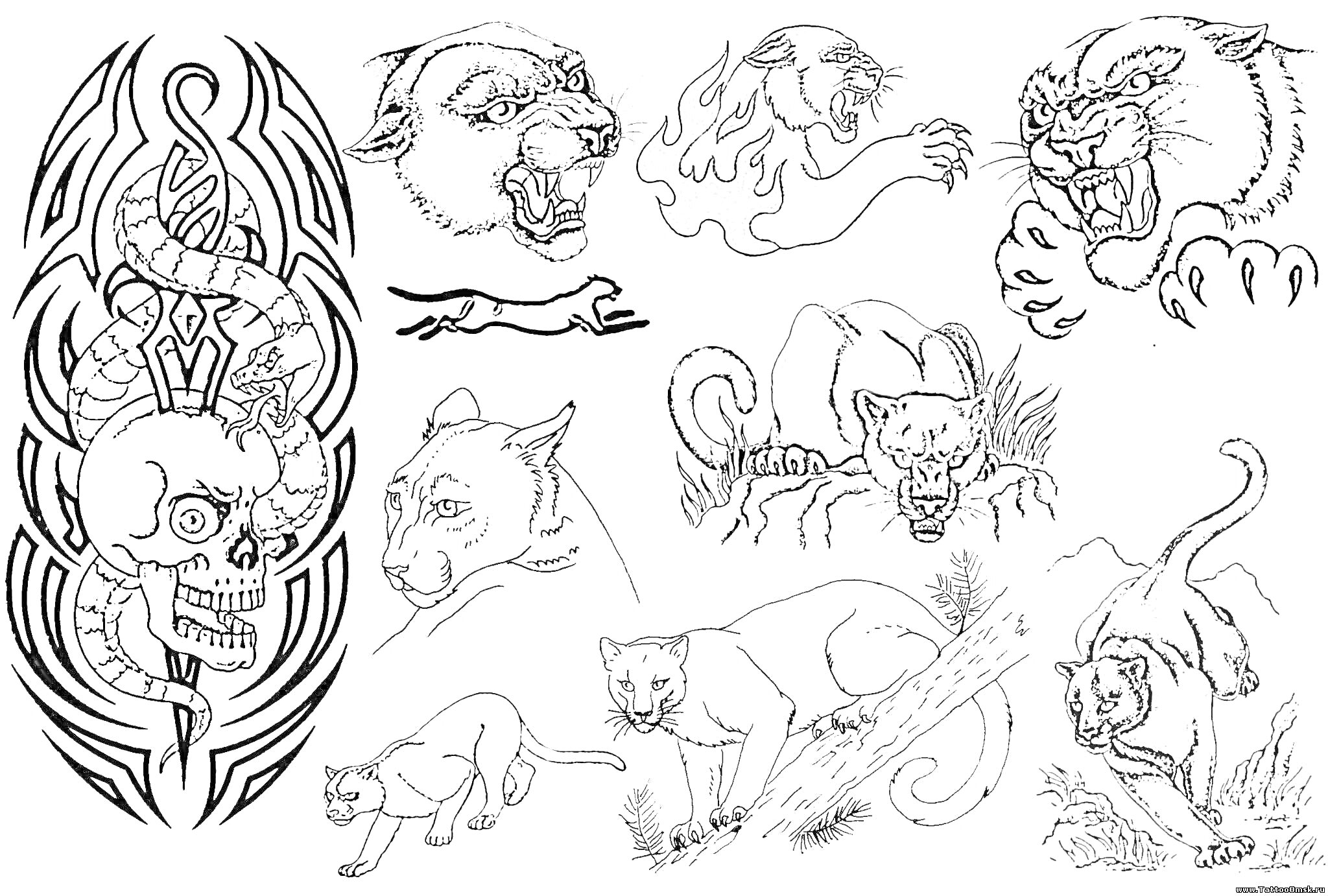 Раскраска Комбо татуировка со змеей, черепом и агрессивными дикими кошками